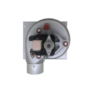 Ventilateur chaudière centrifuge 220V poêle à granulés