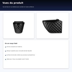WC suspendu noir mat - cuvette céramique SoftClose
