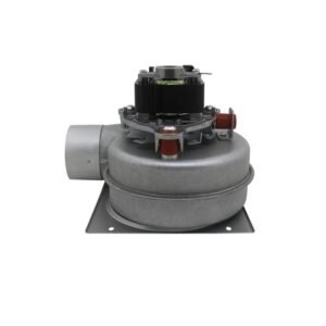Ventilateur chaudière centrifuge 220V poêle à granulés