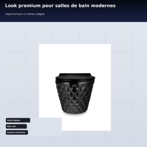 WC suspendu noir mat - cuvette céramique SoftClose