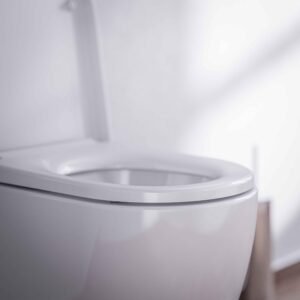 WC suspendu BERNSTEIN sans rebords blanc abattant standard