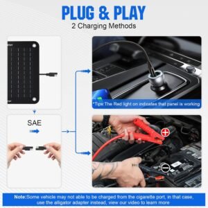 Mainteneur de batterie 12V pour voiture ECO-WORTHY 10W
