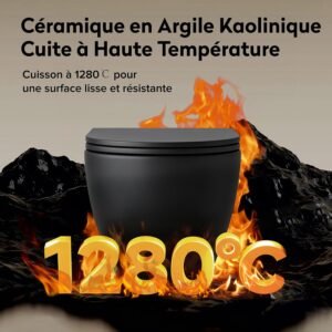 WC suspendu Doporro cuvette céramique noir mat abattant silencieux
