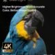Vidéoprojecteur 4K XGIMI Horizon S Pro – Dolby Vision 1800 lm