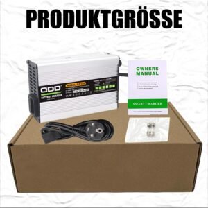 Chargeur intelligent 12,6V 10A QDD pour batterie Li-ion 3S