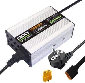 Chargeur intelligent 12,6V 10A QDD pour batterie Li-ion 3S