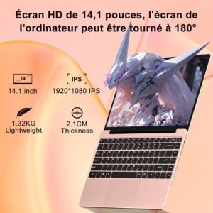 Ordinateur portable 14" NOTODD 256Go SSD extensible 1To