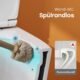 71mIrauvM1L._AC_SL1500_-1.jpg WC suspendu Teal Home céramique blanc abattant auto