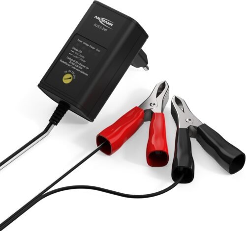 Chargeur batteries au plomb ANSMANN 2–12V 2 pinces croco