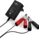 Chargeur batteries au plomb ANSMANN 2–12V 2 pinces croco