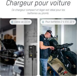 Chargeur batteries au plomb ANSMANN 2–12V 2 pinces croco