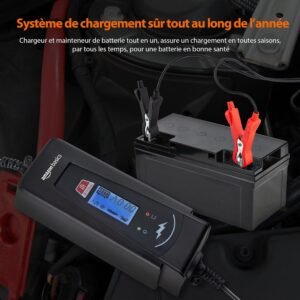 Chargeur de batterie intelligent Amazon Basics 6/12V 2/4A