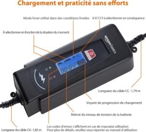 Chargeur de batterie intelligent Amazon Basics 6/12V 2/4A