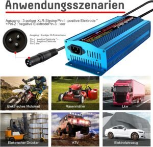 Chargeur de batterie 24V 8A intelligent pour voiture