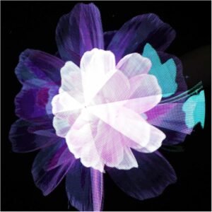 Projecteur hologramme 3D LED 45 cm ventilateur d'affichage