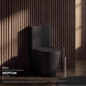 WC monobloc Lavita Neptun Black abaissement automatique