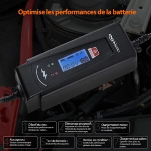 Chargeur de batterie intelligent Amazon Basics 6/12V 2/4A