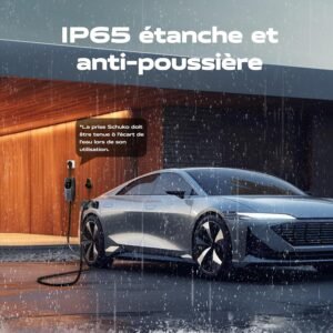 Chargeur voiture électrique Type 2 3,6 kW 5 m VDLPOWEREU
