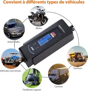 Chargeur de batterie intelligent Amazon Basics 6/12V 2/4A