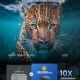 81rEW2TEfcL._AC_SL1500_.jpg Dangbei Atom Mini vidéoprojecteur 1200 lumens 1080p HDR10