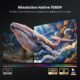 Vidéoprojecteur 4K TOPTRO portable Google TV Autofocus