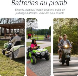 Chargeur batteries au plomb ANSMANN 2–12V 2 pinces croco